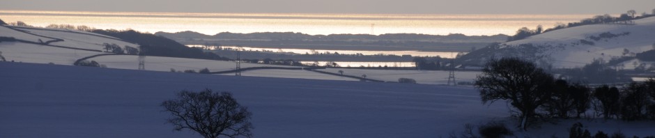 banner3.jpg